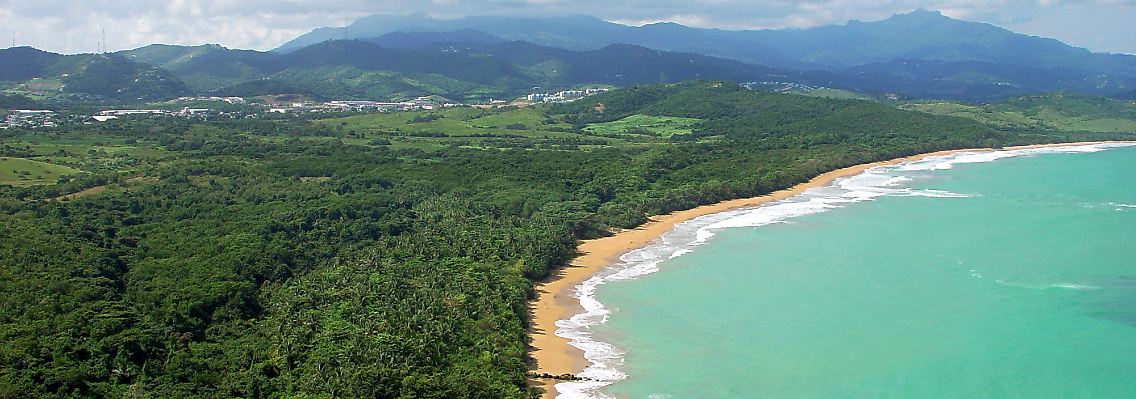 Strand neben Regenwald "La Selva" bei Fajardo, Puerto Rico.