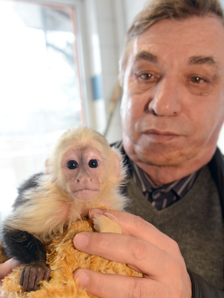 Tierheimleiter Joachim zeigte "Mally" vor mehr als einem Monat - nun fürchten seine Betreuer den Presserummel.