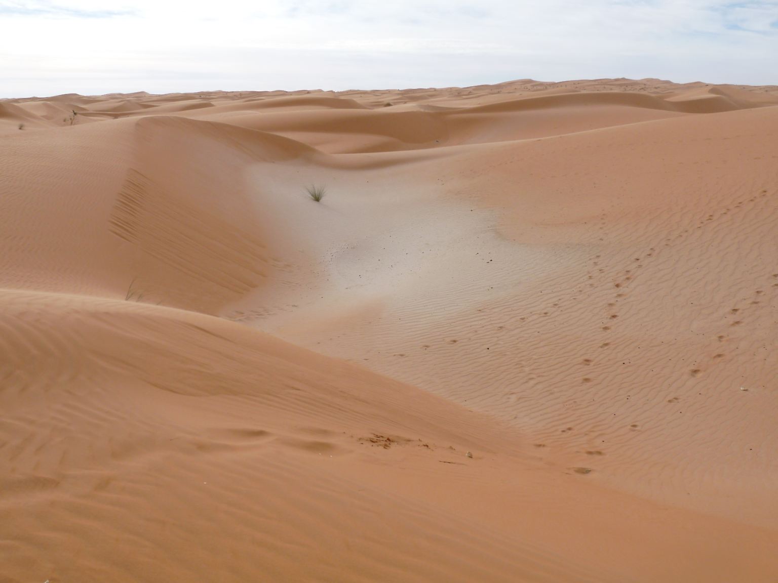 Sand, so weit das Auge reicht, ...