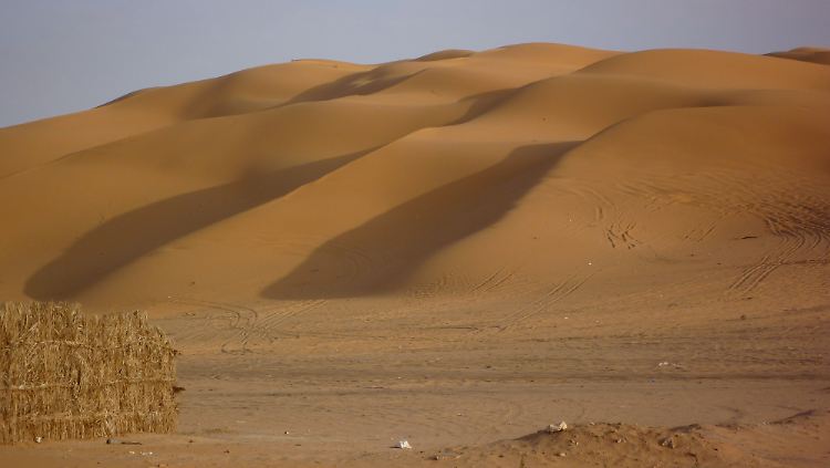 Sahara_Alfejej_wiki_Franzfoto.jpg