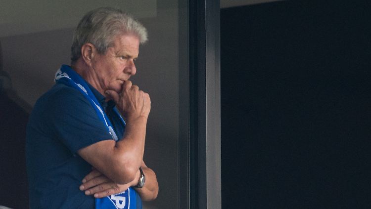 TSG-Mäzen und SAP-Milliardär Dietmar Hopp: Ohne ihn geht bei Hoffenheim nichts. Allerdings fehlt eine klare Führungslinie.