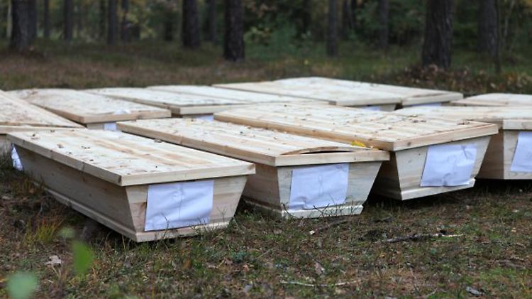 Das Foto zeigt die in einem Wald bei Krolikow (Polen) gefundenen Särge.