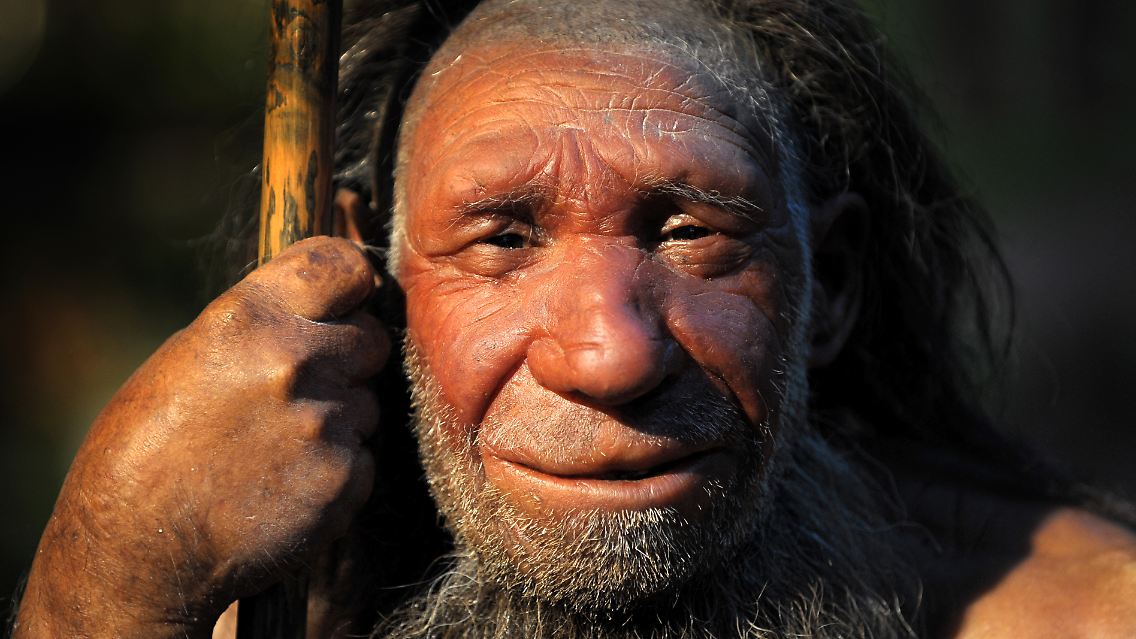 Erst vor wenigen Monaten wurde der Neandertaler durch eine DNA-Analyse als ein Vorfahr heutiger Menschen identifiziert.