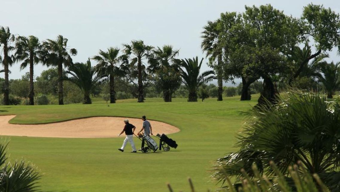 Golfkurs an der Algarve - zwischen Palmen lernen auch Anfänger, auf dem Platz eine gute Figur zu machen.