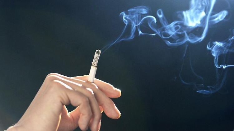 Die Vermieterin hatte den Mieter zwar mehrfach abgemahnt, den Mietvertrag aber verlängert.