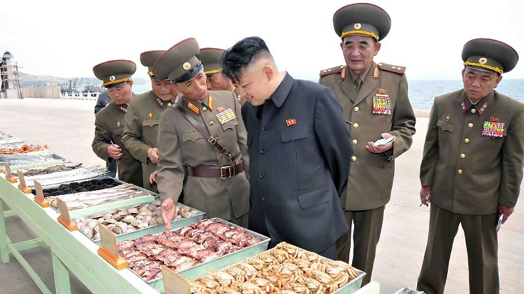 Es gibt Anzeichen, dass sich die Staatsführung in Nordkorea mit der neuen Wirklichkeit arrangiert: In der Sonderwirtschaftszone Rason an der Grenze zu China und Russland gibt es eine staatliche Bank, die den nordkoreanischen Won in harte Währung tauscht. 