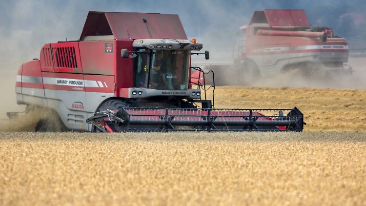 Monsanto testet Gen-Weizen.