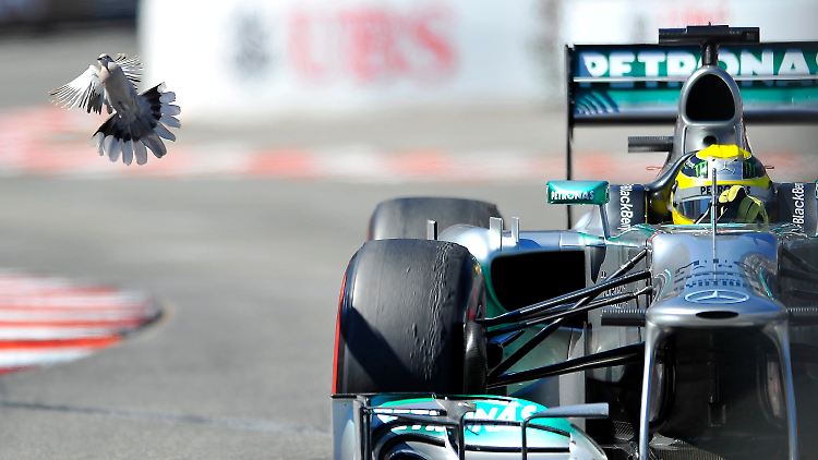 Nico Rosberg ist überrascht von der Wucht der Reifendiskussion.
