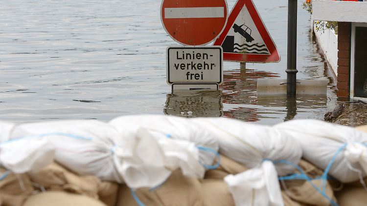 In der überfluteten Unterstadt Lauenburgs.