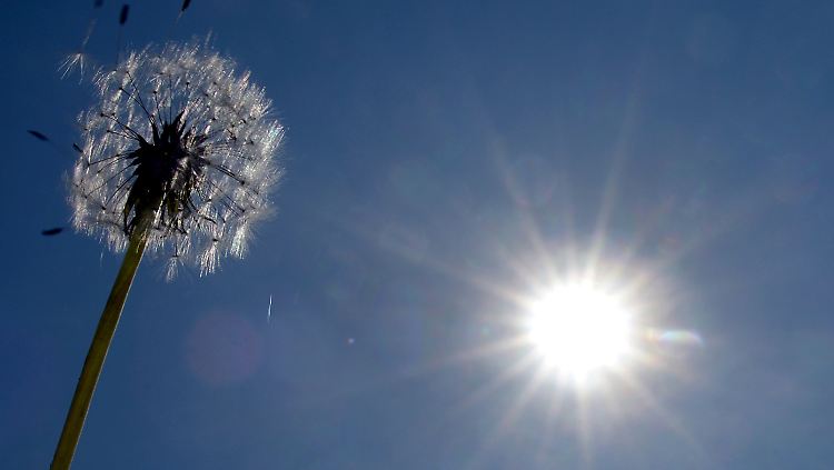 Sonnenschein in Düsseldorf.jpg