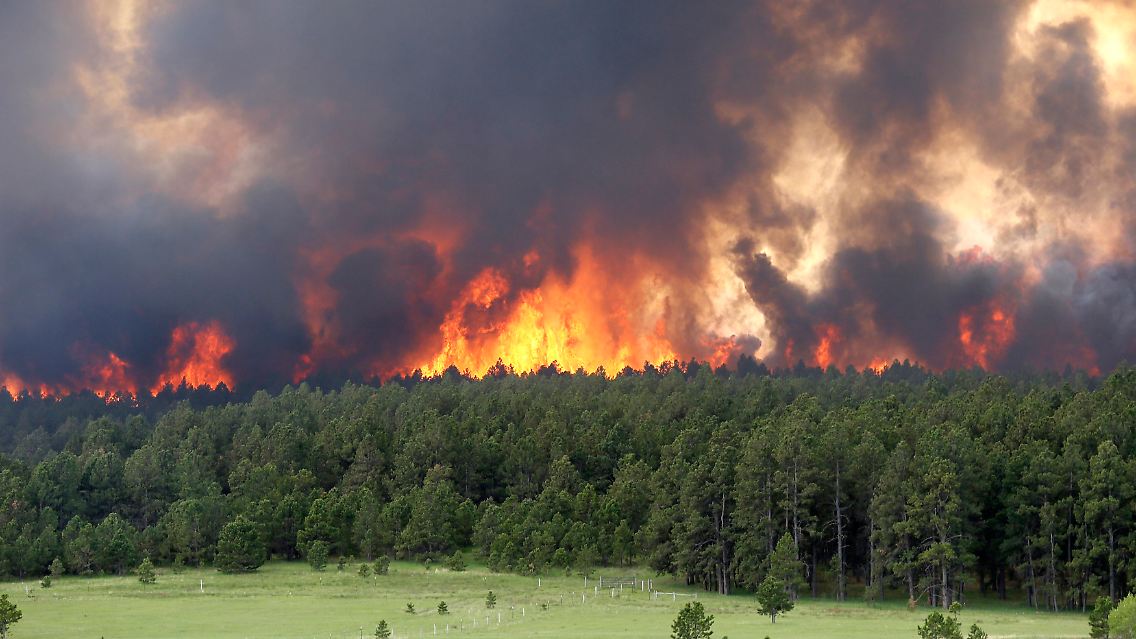 Seit zwei Tagen brennen die Flammen außer Kontrolle.