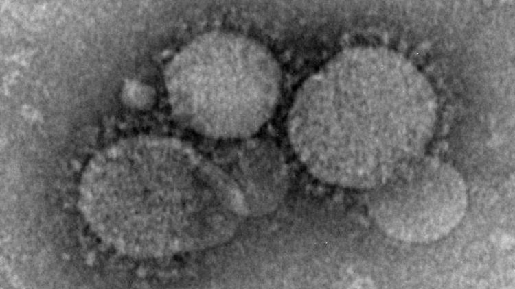 Geheimnisvoller Killer: Die WHO warnt eindringlich vor dem bisher unzureichend erforschten Coronavirus.