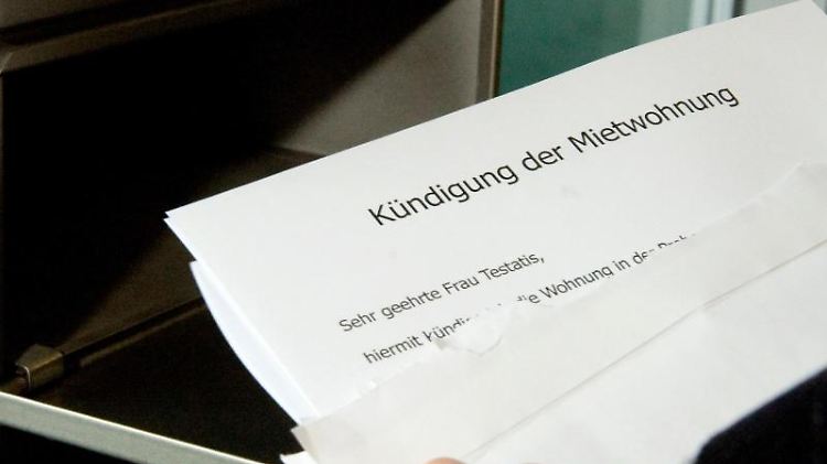 Mitbewohner Rauswerfen Der Nicht Im Mietvertrag Steht www.n-tv.de