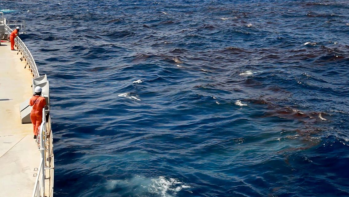 whale#.jpg