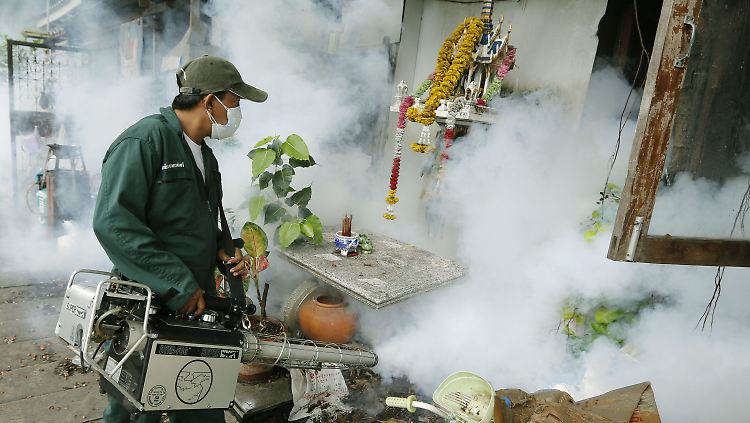 Mücken-Bekämpfung mit der Chemie-Keule in Bangkok.