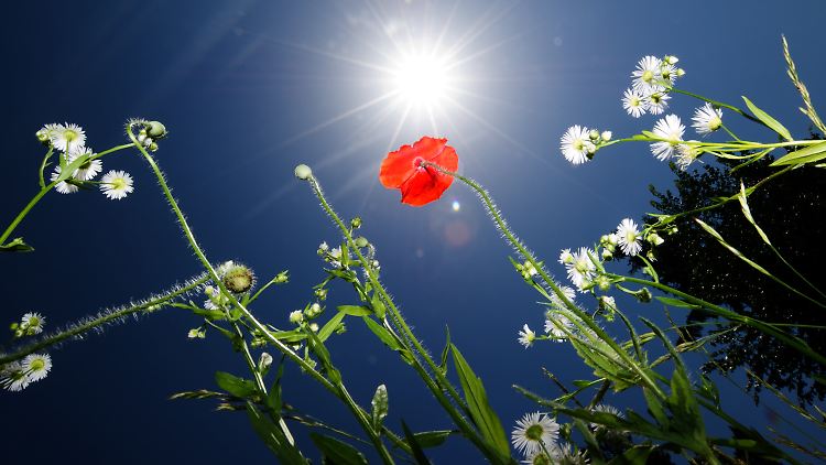 Sommerwetter im Osten