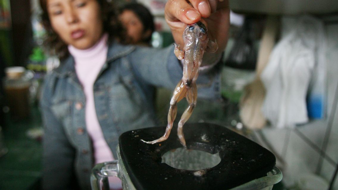 Weiter geht's nach Peru: Das Getränk - "Peruanisches Viagra" - mit Frosch-Einlage kommt direkt aus dem Mixer und ist vor allem bei peruanischen Arbeitern beliebt. Es heißt, es helfe gegen Krankheiten wie Müdigkeit oder Impotenz.