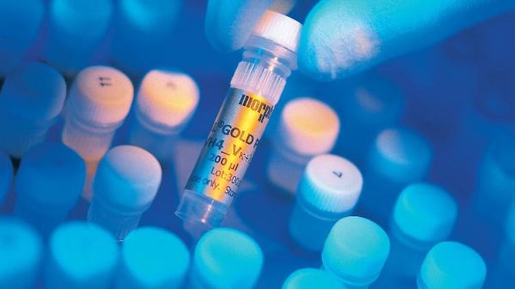 Biotech-Forschung kostet, Morphosys holt sich dafür frisches Kapital.