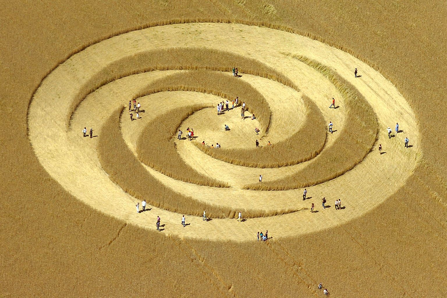 Jeden Sommer das gleiche Bild: Weltweit treten auf Feldern unerklärliche Kornkreise auf ...