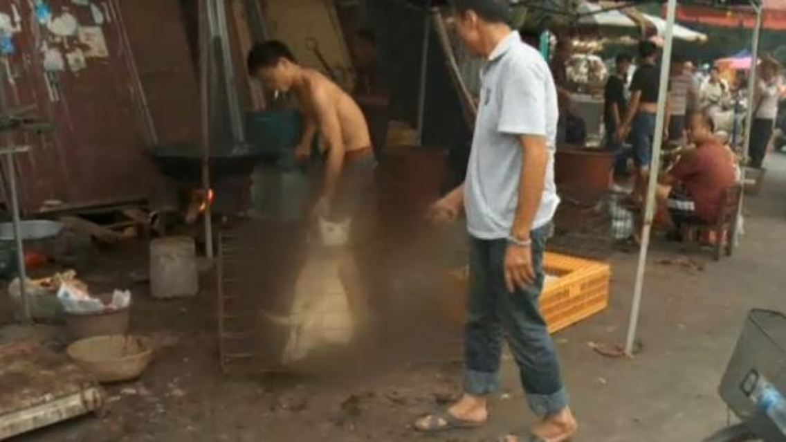 china.JPG