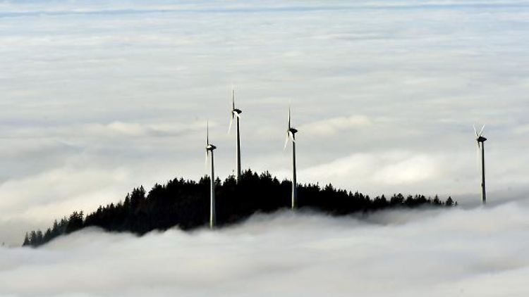 Fünf Millionen Haushalt beziehen Ökostrom - mehr werden es wohl vorerst nicht.
