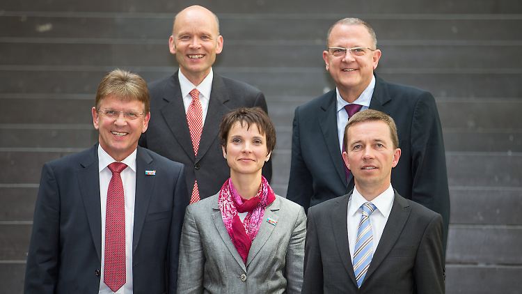 Die AfD-Mitglieder Verteidigungs-Experte Gerald Otten (l-r), Energie-Experte Stephan Boyens, Sprecherin Frauke Petry, Gesundheits-Experte Wilhelm Esser und Sprecher Bernd Lucke
