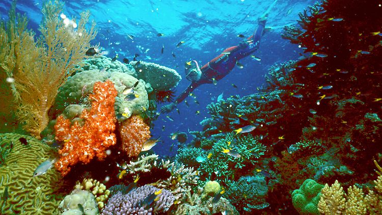 Die Sprengkörper landeten nicht auf dem Korallenriff, sondern in einem abseits gelegenen Wassergraben - sagt die US-Marine.