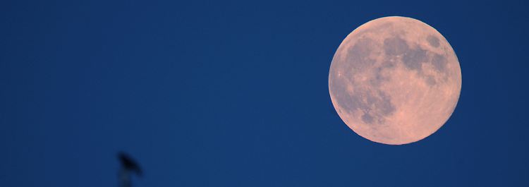 Thema: Mond