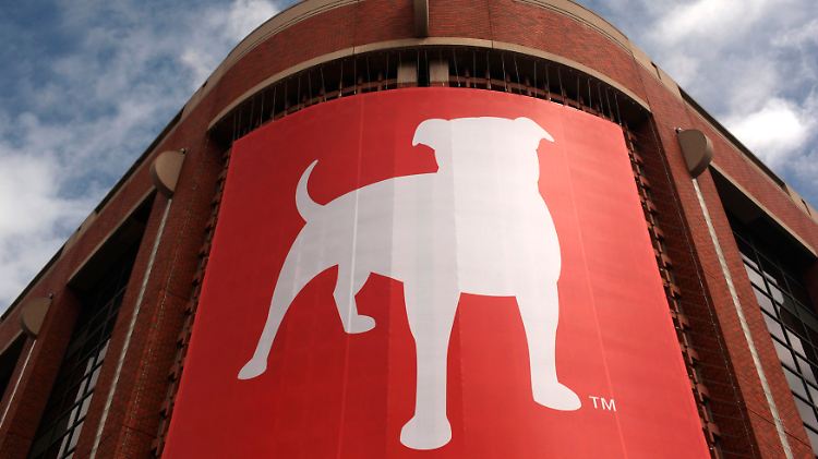 Der Spiele-Hersteller Zynga will wieder verstärkt mit Social Games punkten.