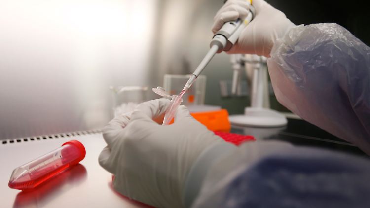 Das Virus MERS-CoV (Middle East Respiratory Syndrome Coronavirus) weist Ähnlichkeiten mit der Atemwegserkrankung SARS auf.