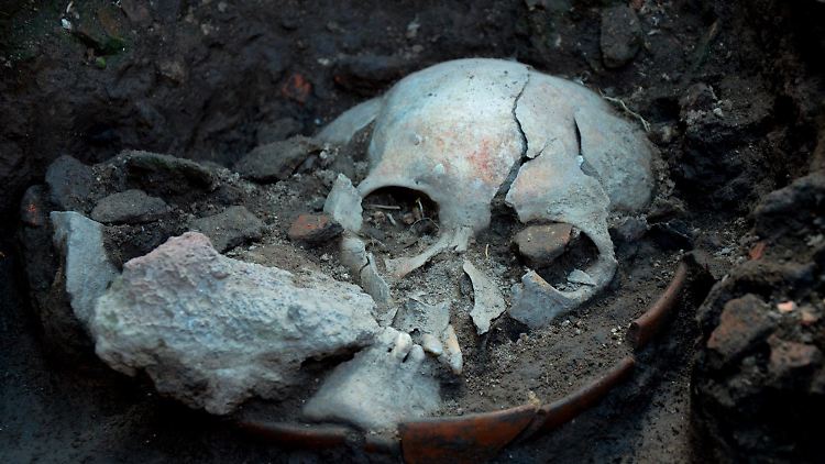 Vermutlich die Überreste eines Kriegsgefangenen, der als Opfergabe vor 500 Jahren geköpft wurde. 