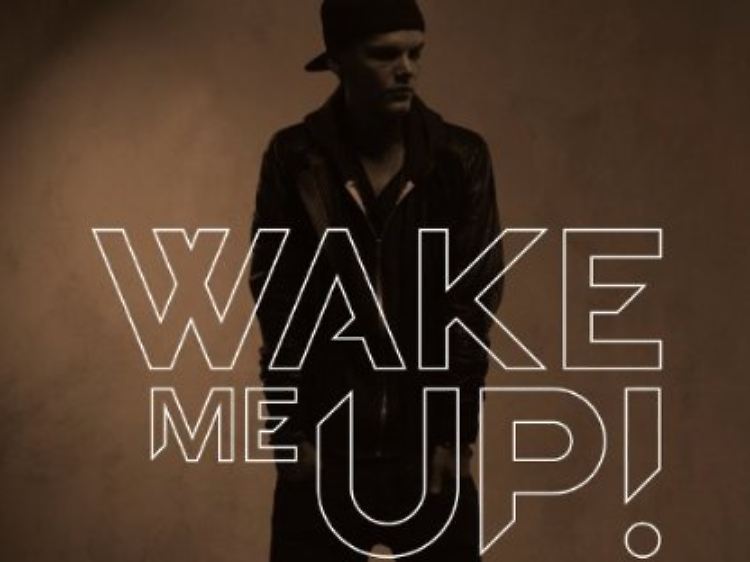 Gute Laune, auch ohne Mallorca: Avicii.