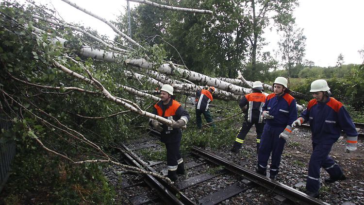 Umgestürzte Bäume - so wie hier in Bayern - blockierten mehrere Bahnstrecken.