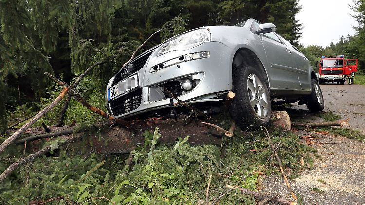 Ein Auto prallte im Landkreis Biberach gegen einen Baum. Der Fahrer wurde nicht verletzt.