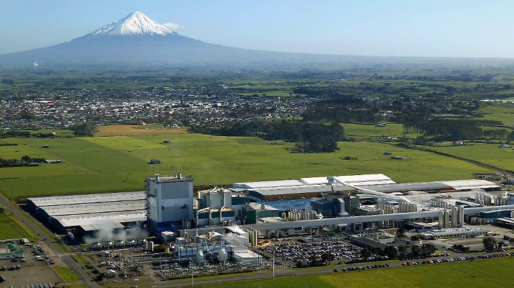 Bakterienalarm in der Idylle bei New Plymouth: Fonterra, die viertgrößte Molkerei der Welt, ruft tonnenweise Milchprodukte zurück - und belastet die Landeswährung.