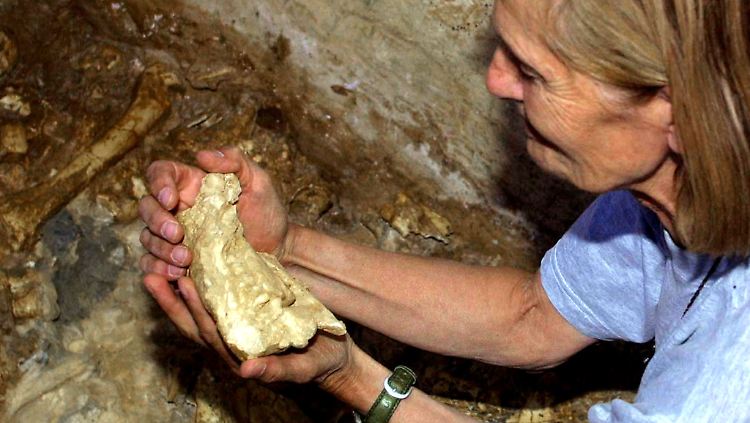 Marie Antoinette De Lumley mit einem etwa 450.000 Jahre alten Kieferknochen einer jungen Frau, gefunden in der Höhle von Arago im September 2001.
