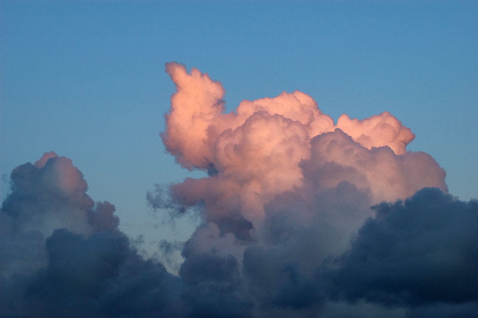 Sie denken, Wolken seien nur eine Ansammlung feinster Wassertröpfchen? Mitnichten! Die 28.000 Mitglieder des Vereins der Wolkenfreunde entdecken Unglaubliches am Himmel - und haben ihre Kamera immer parat, wenn hoch oben ein Elefant trompetet ...