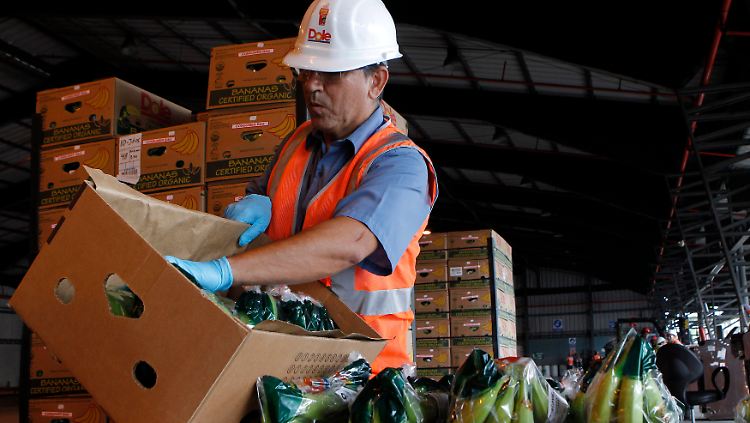 Dole ist vor allem für den Handel mit Bananen und Ananas bekannt.