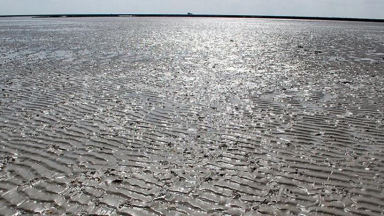 Unendliche Weiten - bei Ebbe glitzert der Wattboden vor der nordfriesischen Küste in der Sommersonne.