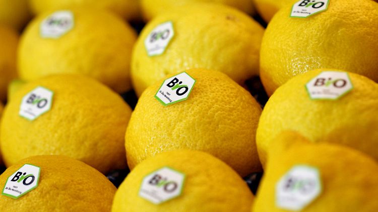 Der Bio-Verbrauch in Deutschland bleibt auf recht hohem Niveau: 74 Prozent der Bürger greifen gelegentlich zur Ökoware.