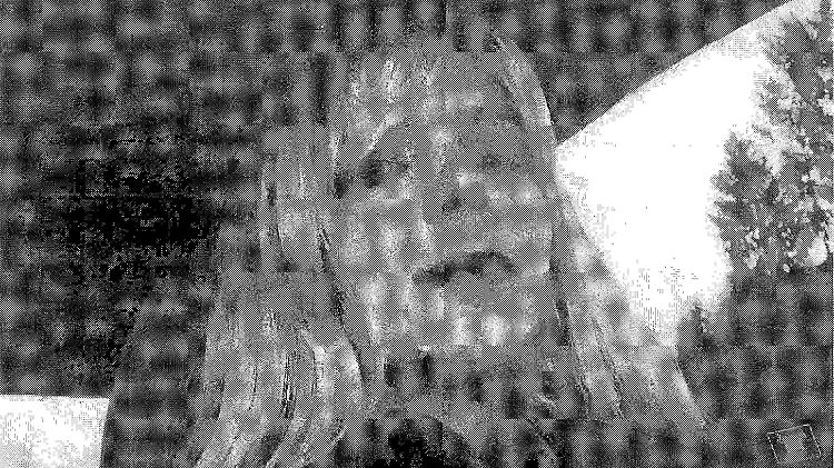 Manning posierte für ein Foto mit Perücke und geschminkten Lippen. 