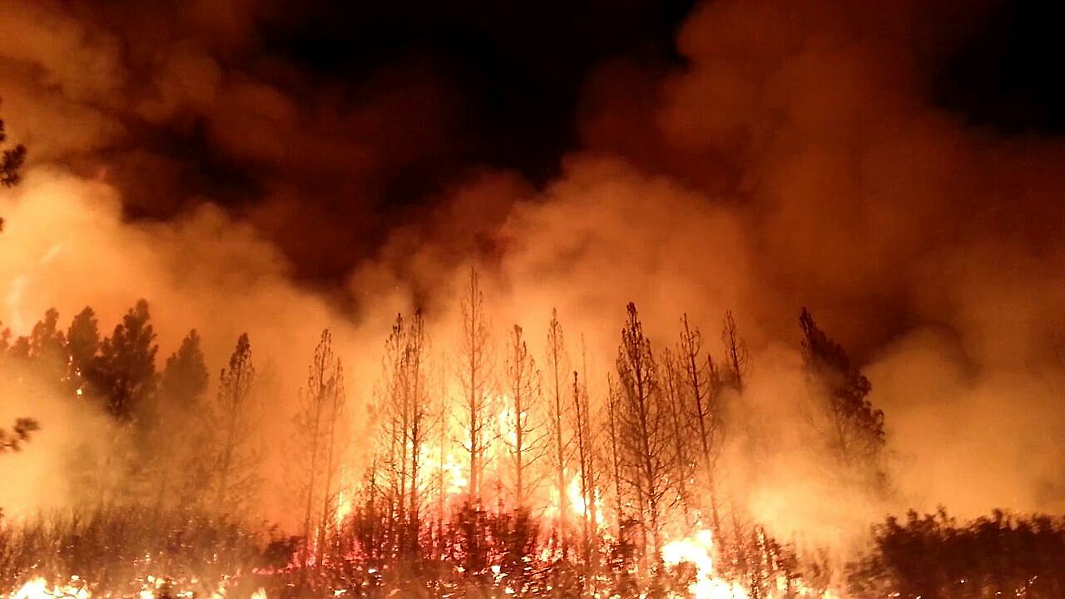 Die Flammen schlagen lichterloh in Kaliforniens Sierra Nevada. 