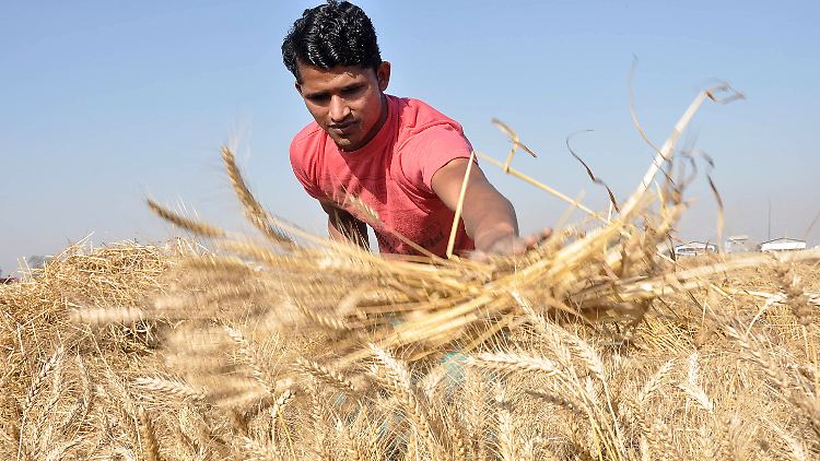 In Indien hungern Millionen Menschen.