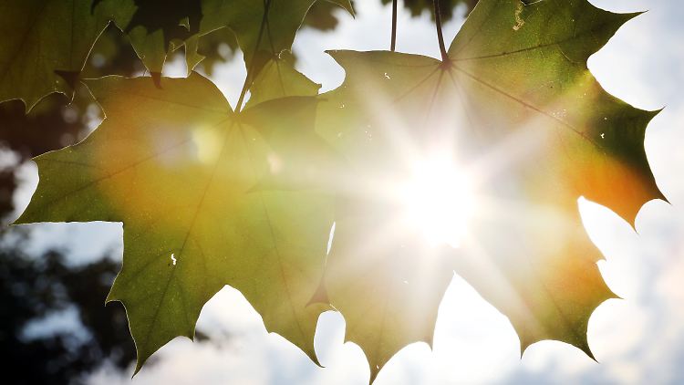 Die Spätsommersonne kann sich noch gegen erste Herbstboten durchsetzen.