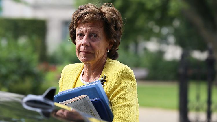 EU-Digitalkommissarin Neelie Kroes will Roaminggebühren in der EU abschaffen.
