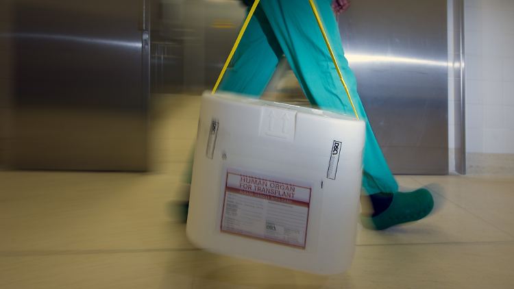Ein Spender-Organ auf dem Weg zum Empfänger. Die Zahl der Organspenden ist infolge der Skandale deutlich zurückgegangen.