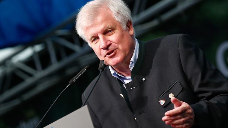 Einsam an der Spitze: Horst Seehofer.