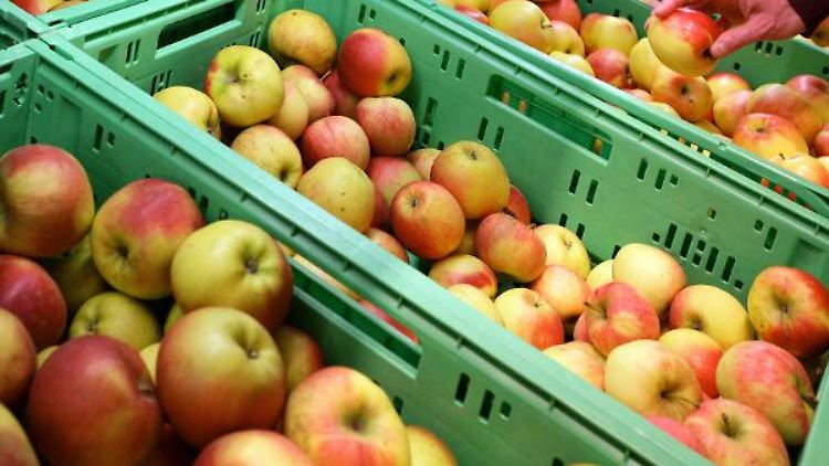 Auch mit ökologischer Landwirtschaft lässt sich Geld verdienen.