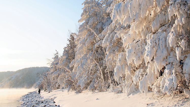 Im Winter ist Sibirien definitiv kein Ort, um es wie die Charaktere des Dschungelbuchs mal mit Gemütlichkeit zu probieren.