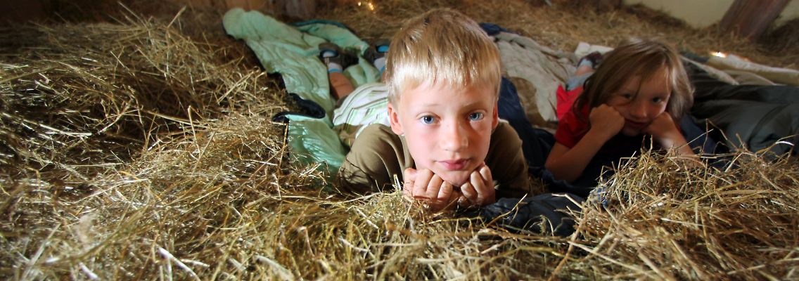Ein besonderer Ferienspaß: Kinder im Heubett.